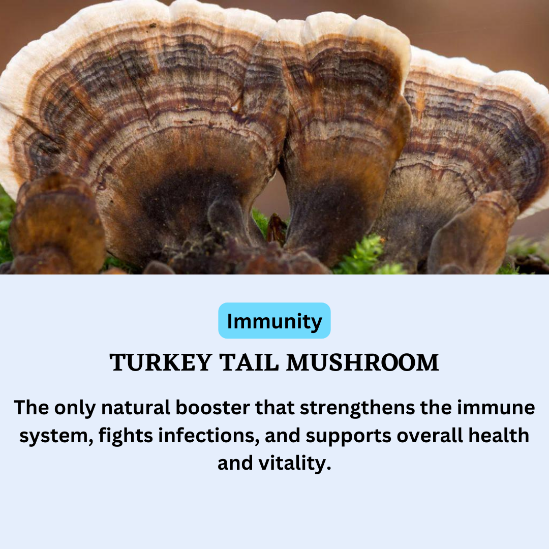 Neuro Mushroom Supreme Immunity, Brain, Focus, Energy Support, 60 Count