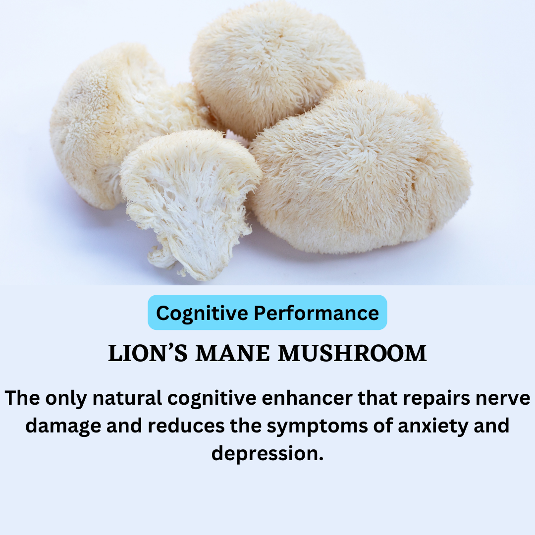 Neuro Mushroom Supreme Immunity, Brain, Focus, Energy Support, 60 Count